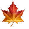 Maple Diary icon